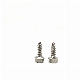  Guangzhou Supply Zinc Coated Pan Head Self-Tapping Screws