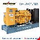 Continuous Power 50-1000kw Chick Farm Biogas Biomass Natural Gas Generator