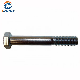  8.8 Grade High Strength Half Thread HDG Hex Bolt