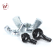 Carbon Steel /Stainless Steel Hex Nut/ Wing Nut /Flange Nut/ Square Nut /T Nut /Eye Nut manufacturer