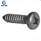  Galvanized /Zinc Plated/ Hot DIP Galvanized Self Tapping Screws/Pan Phillips /Hex /Flat /Flanged Head Screws