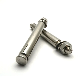  Stainless Steel Mechanical Expansion Anchor Bolt for Concrete Masonry Holding