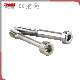 Round Head Metal Threaded Bolt