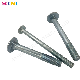  Carbon Steel Grade 4.8 DIN 603 Carriage Bolt