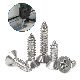 DIN7504 SS304 SS316 Cross Recessed Flat Countersunk Head Self Tapping Drilling Screw manufacturer