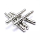 Made in China Hardware Fasteners Metal Galvanized Single End Threaded Rod 6mm 8mm 10mm DIN975 976