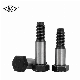 Factory Outlet Hex Fitted Bolts with Short Threaded Dog Point