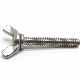 Stainless Steel 304 Thumb Wing Screw DIN316 Butterfly Bolt manufacturer