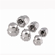 DIN1587 Hex Domed Cap Nuts 6mm 304 Stainless Steel Hex Cap Nut