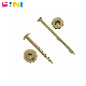 304 Stainless Steel Torx Screw Bolt for Wooden Construction Round Washer Head Decking Timber Wood Screws