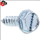  Hot DIP Galvanized Self Tapping Screw Slotted Hex Head Screw