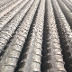 Carbon Steel Screw Thread Anchor Bolt for Tunnel Engineering