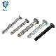 Stainless Steel Carbon Steel High Strength Hardware Ring Grooved Lock Bolt Huck Bolt and Nut Anchor Bolt Hex Head Bolt Thread Bolt Steel Special Bolt