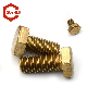 High Quality DIN933 Full Thread Brass Hex Bolts (M2-100)