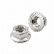 JIS Carbon SS316 Cap Flange with DIN6923 Standard 304 Stainless Steel Hex Nuts Nut