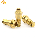 Custom Parts Brass Gas Shielded Connecting Pipe Fittings