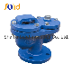 Irrigation Automatic Ductile Iron Air Release Valve