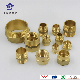  Brass Adapter Hex Nipple /Socket /Bushing Fittings