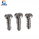 Stainless Steel Slotted Screw, Pan Head Slotted Machine Screw, Slotted Screw