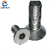 Stainless Steel Hex Socket Csk Head Machine Screw