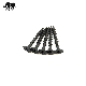 Black Phosphated Coarse Thread Drywall Screw