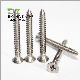 DIN7981DIN7982 DIN7983 Stainless Steel Screw Flat Head Pan Head Self Tapping Screw