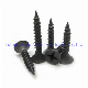  Factory Price Drywall Screw/Black Drywall Screw/Self Drilling Screw/Self Tapping Screw/Chipboard Screw