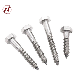 DIN571 Flat Stainless Steel 304 Wood Screw Hex Head Screw manufacturer