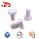  M5*8 Tin-Plated Carbon Steel Flat Hexagon Head Screw