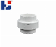 UPVC Pressure Fitting SCH40 Water Supply Plumbing Fittings Pipe Fittings PVC-U Union