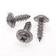 St6*19 Stainless Steel Phillips/Crosss Indented Round Washer Head Self-Tapping/Wood Screw