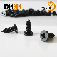  High Quality Carbon Steel Pancake Head Serrations Underhead Black Self Tapping Screw Sheet Metal Screws