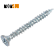  Zinc Plating Rifled Shank Zinc Double Countersunk Pozidriv Turbo Wood Screw