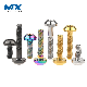  China Factory Custom Hot Sale Fasteners Titanium Screws