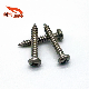 D: 3*L: 18 Nickel-Plated Carbon Steel Phillips/Crosss Pan/Round Head Self Tapping Screw Screw