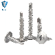 Furniture Screw SUS 410 Cross Truss Head Self Drilling Screw with Polishing Surface Treatments