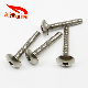 D: 5*L: 35 Stainless Steel Hexagon Socket Tumbler Head Screw