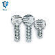  Customized Screws Low Carbon Steel Round Head Regular Thumb Screw