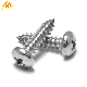  DIN7981 18-8 Stainless Steel M2.2 M2.9 M3.5 Phillips Pan Head Self-Tapping Screws for Plastic