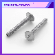  Customize Non-Standard Flat Head Stainless Steel Machine Eye Screws with Point Welding