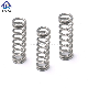  Heat Resistant Stainless Steel Alloy Steel Coil Flat Custom Compression Springs