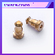  Custom Metal Brass Bolts Inserts Studs for Machine Parts