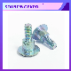 Steel Plated Color Stud Half Thread Bolts Made in China Factory