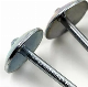 Galvanized Smooth Shank Roofing Nails with Umbrella Head