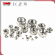 OEM Bolt Brass Stainless Steel Hex Rivet Nut for Building