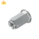 Stainless Steel Csk Head Round Body Rivet Nut