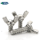 Carbon Steel Galvanized / Stainless Steel Toggle Wing Bolt