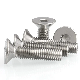  304 Stainless Steel Hex Socket Flat Head Hex Socket Head Screw