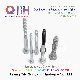 Qbh Stainless Carbon Steel Hex Hexagon Head ASME Lag Screw