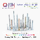 Qbh DIN571 Carbon Steel Wzp Hex Hexagon & Round Bugle Slotted Head Coarse Thread Drywall Wood Self Tapping Drilling Screw Roofing Coil Ring Rope Tail Nails